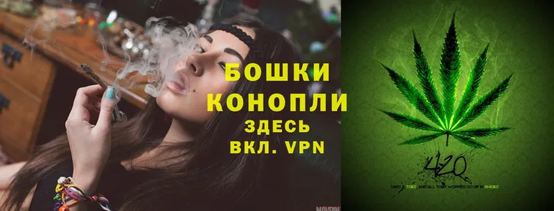 купить  сайты  Кашин  МАРИХУАНА OG Kush 